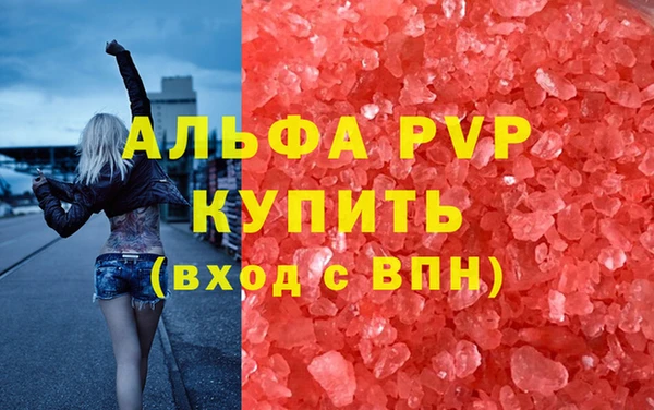 крисы Алексин
