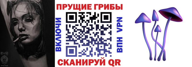 Галлюциногенные грибы прущие грибы цена mega как зайти Тверь