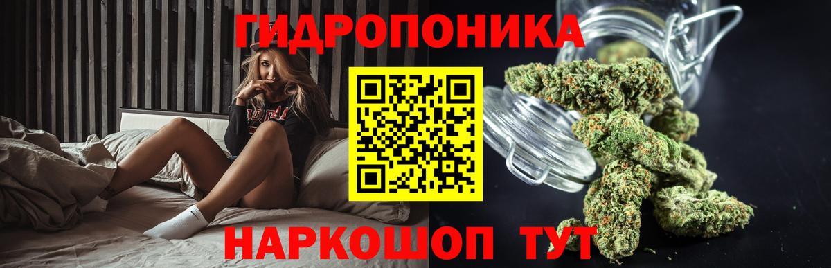 Конопля AK-47 Тверь